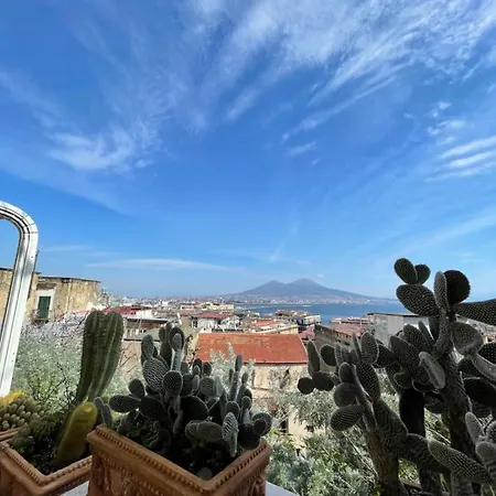 Apartment Alma De Templarsf - Stunning Design With Sea View And Terrace Naples